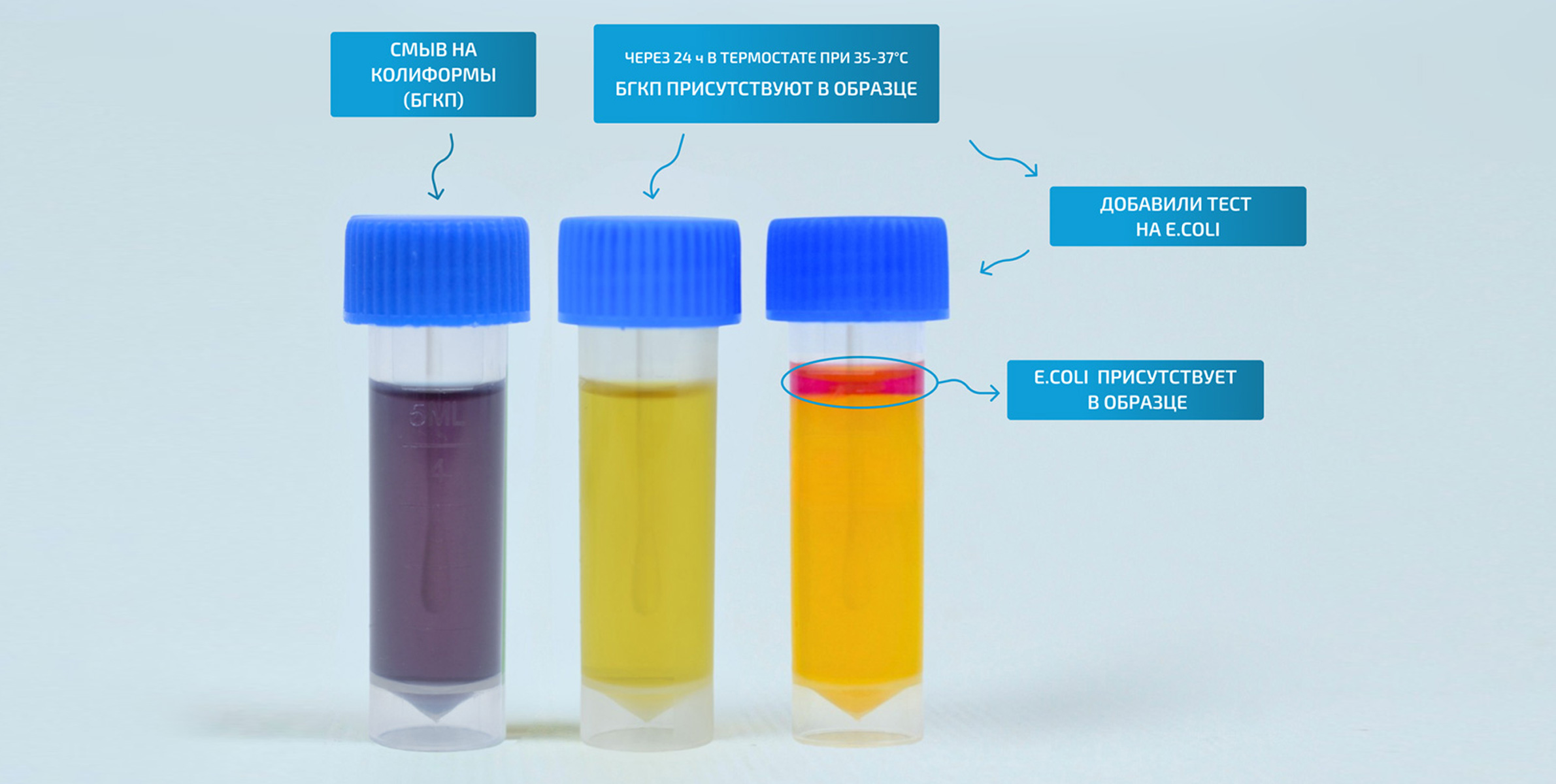 Петритест смыв на колиформные бактерии (БГКП), тупфер на крышке, 12 тестов