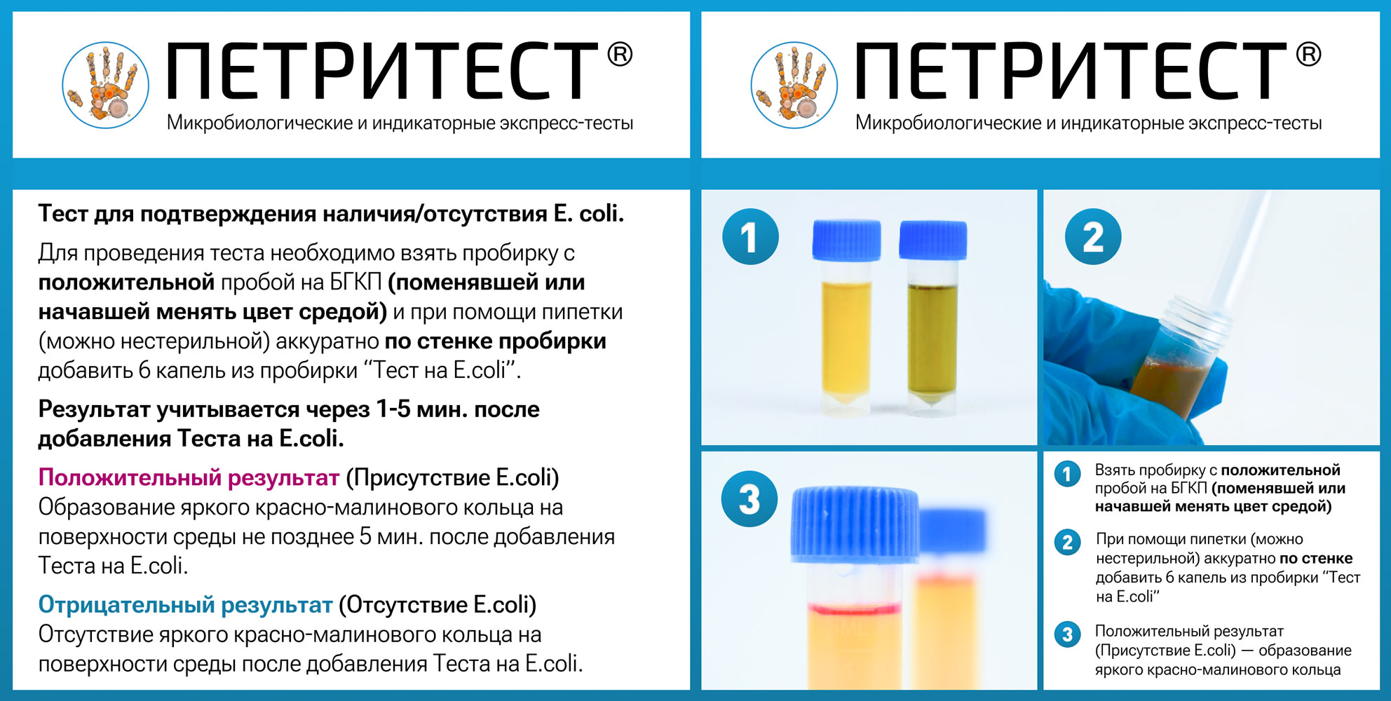 Петритест смыв на колиформные бактерии (БГКП), тупфер на крышке, 12 тестов