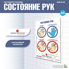 Пособие наглядное А5 №126 СОСТОЯНИЕ РУК